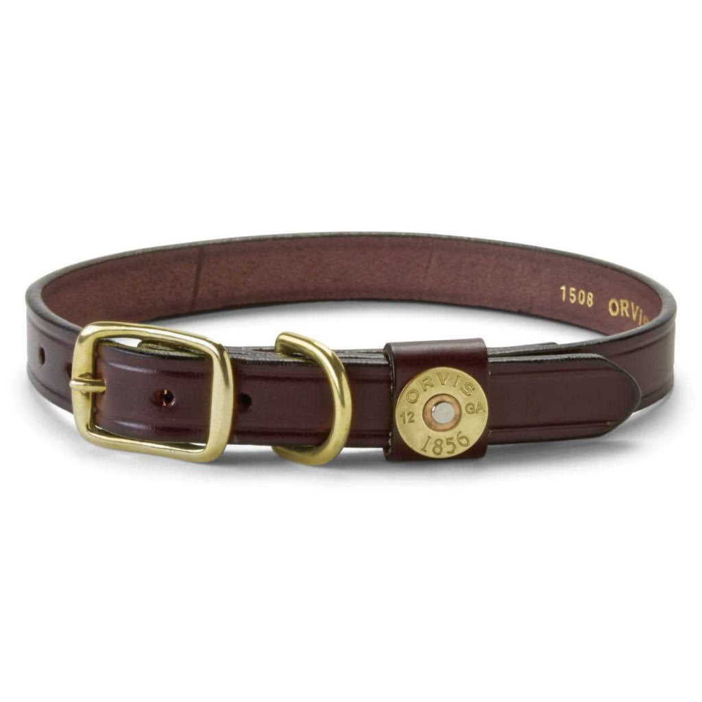 Dog Collar and Leash E304