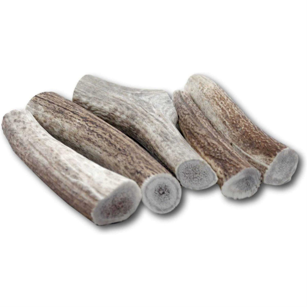 Large Thick Elk Antler 5 Pack Dog Chew Treat E7533
