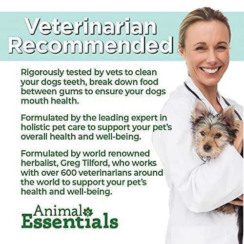 Senior Support A880997