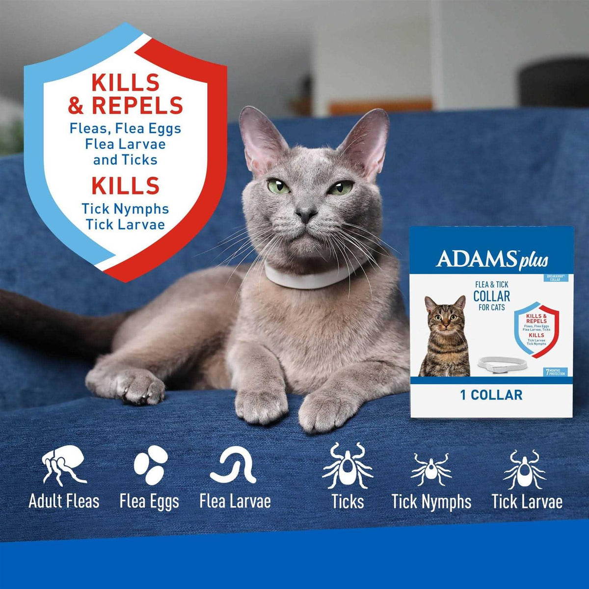 Flea Tick Collar for Cats J44527