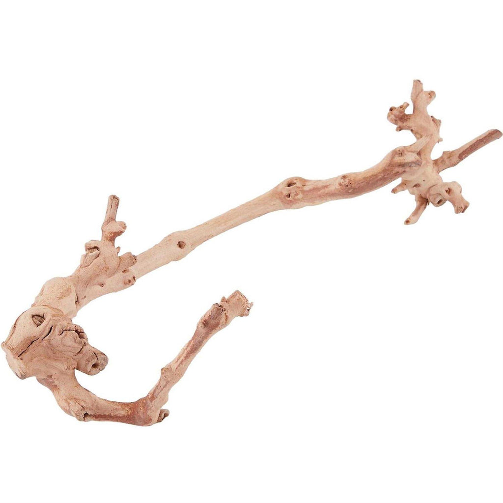 Forest Branch N4283