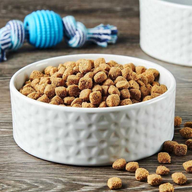 Dry Dog Food V7174