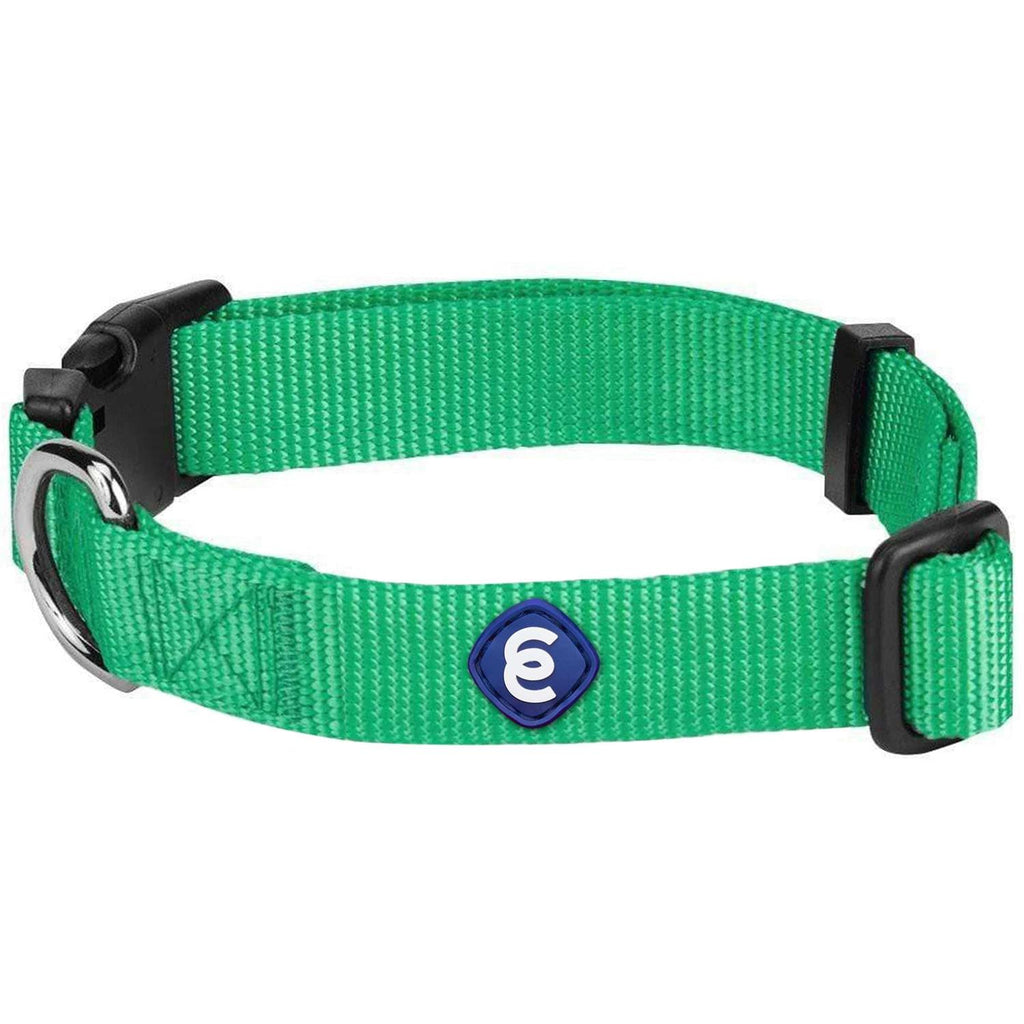 Classic Dog Collar Q9889