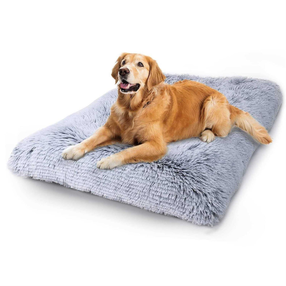 Washable Dog Bed R1874