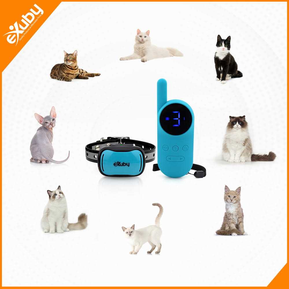 Small Cat Shock Collar with Remote J629