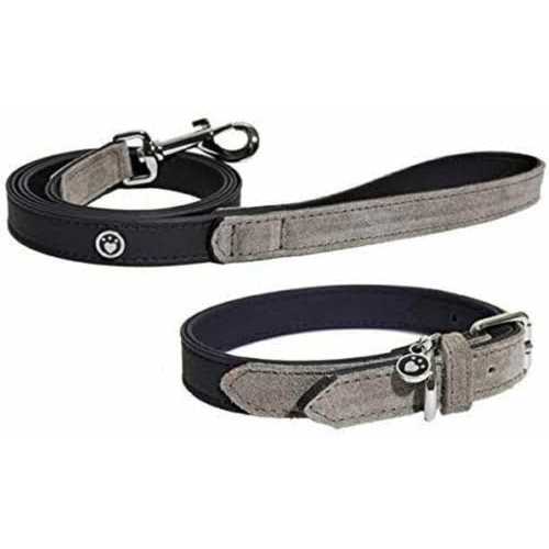 Leather Braided Dog Leash W200653