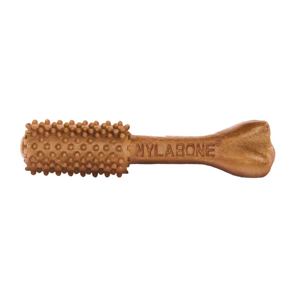 Nutri Dent Dental Chews Filet Mignon T858551