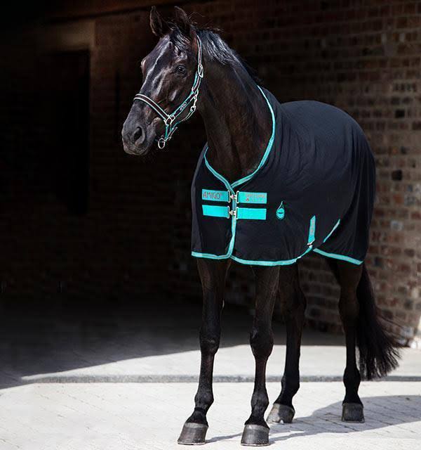 Stable Sheet M969