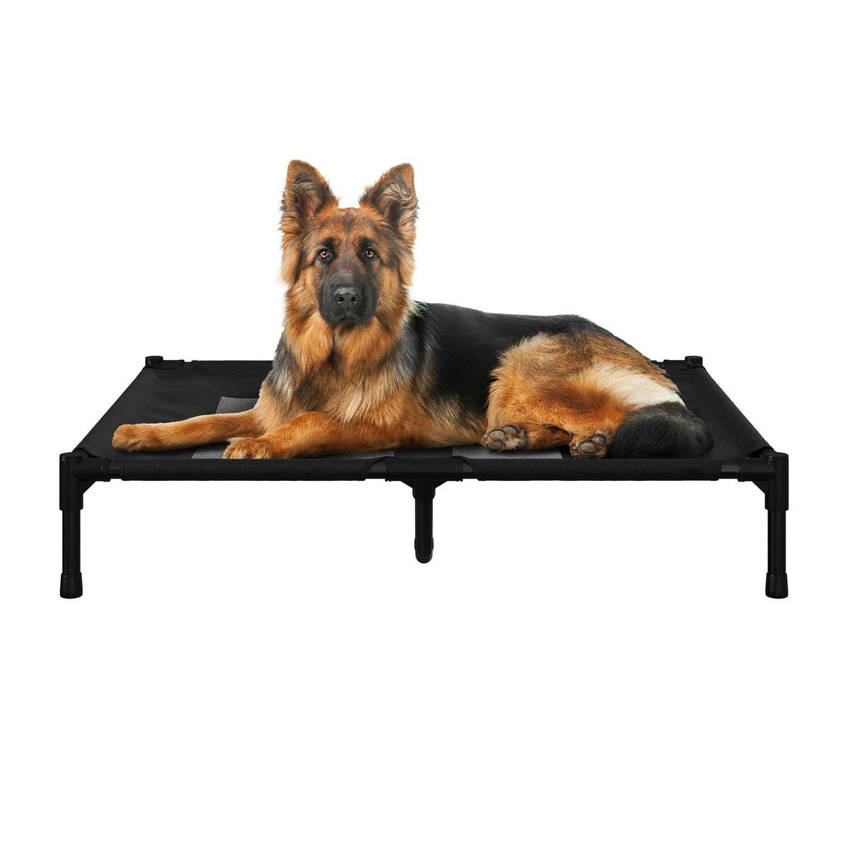 Cot-Style Elevated Pet Bed A658