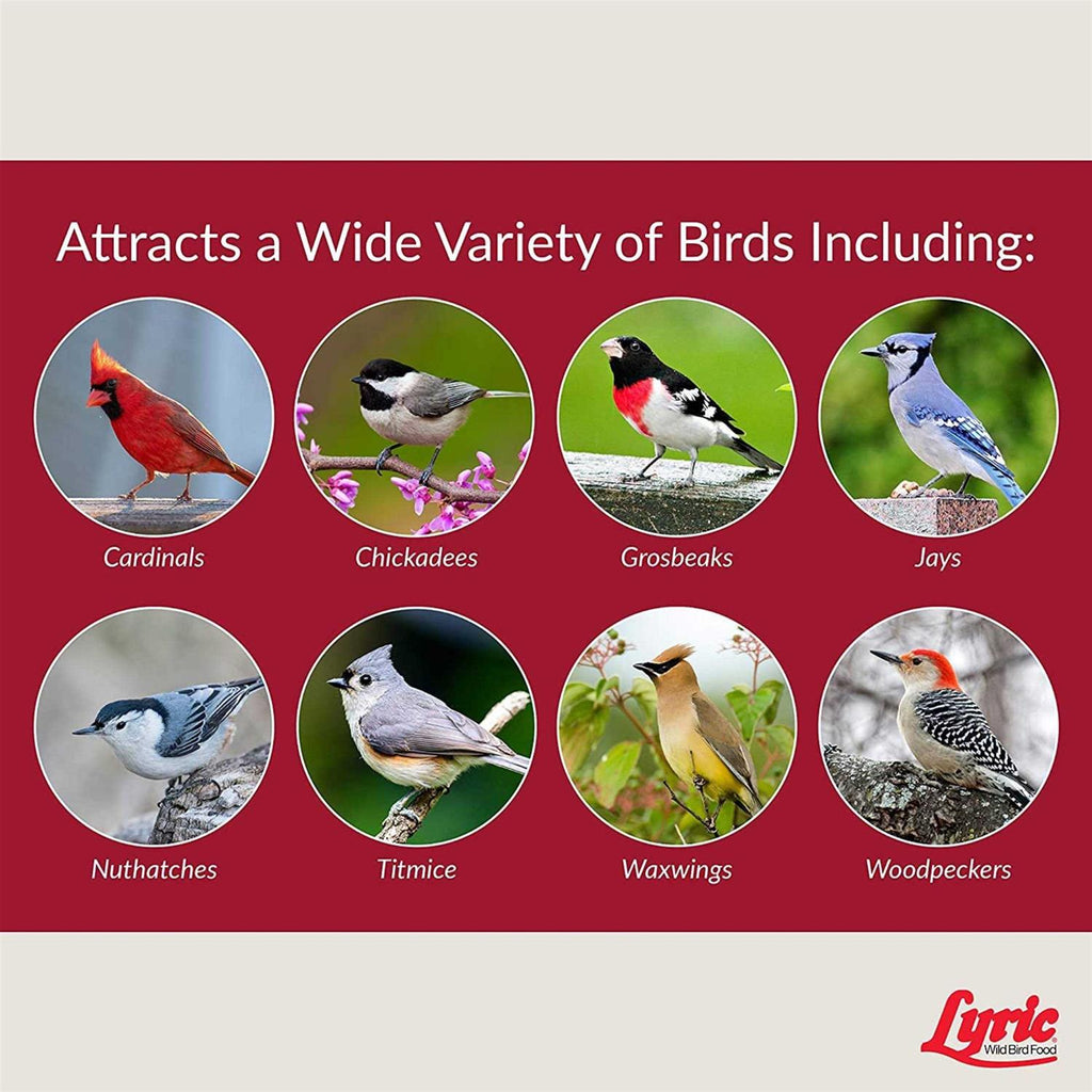 Fruit & Nut Wild Bird Mix H41084