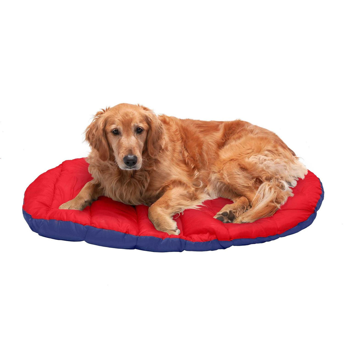 Packable Travel Dog Bed T5435