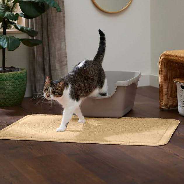 Rectangular Cat Litter Mat Y89053