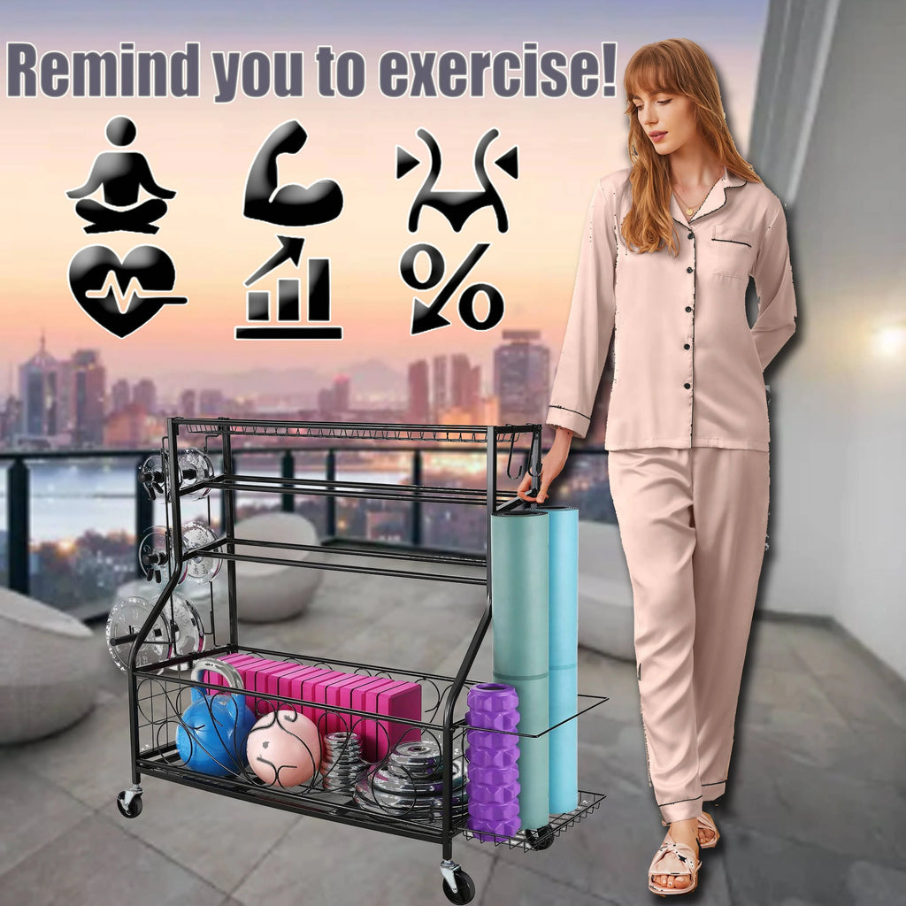 Black Dumbbell Rack Storage Shelves U559