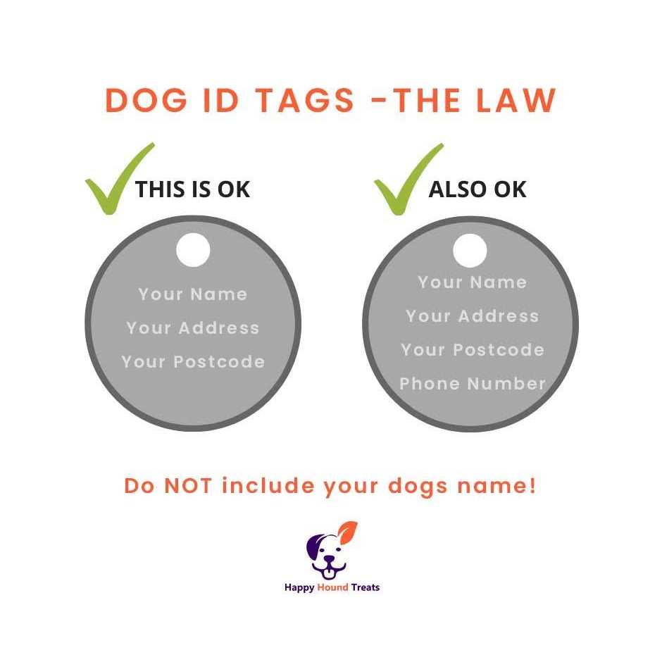 Medical ID Dog Tag A308306