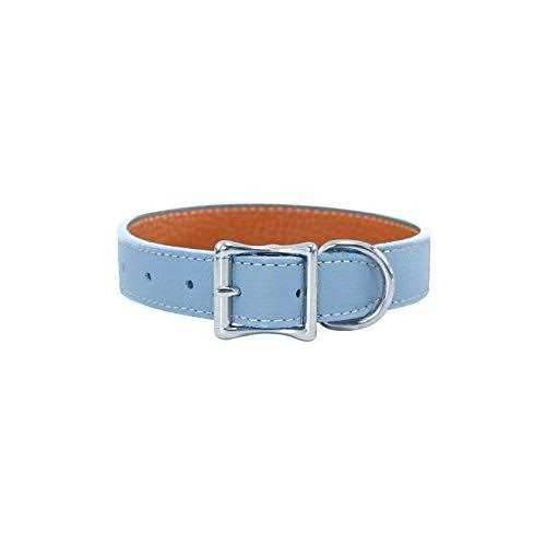 Leather Dog Collar H774926