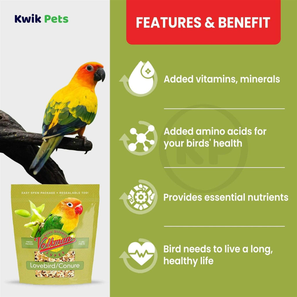 Conure Lovebird Q20040