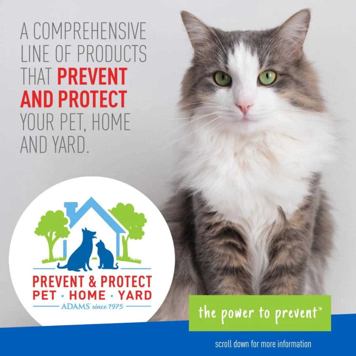 Flea Tick Collar for Cats J44527