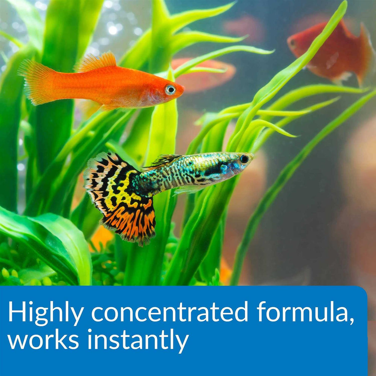 Aqua Essential Water Conditioner Y230