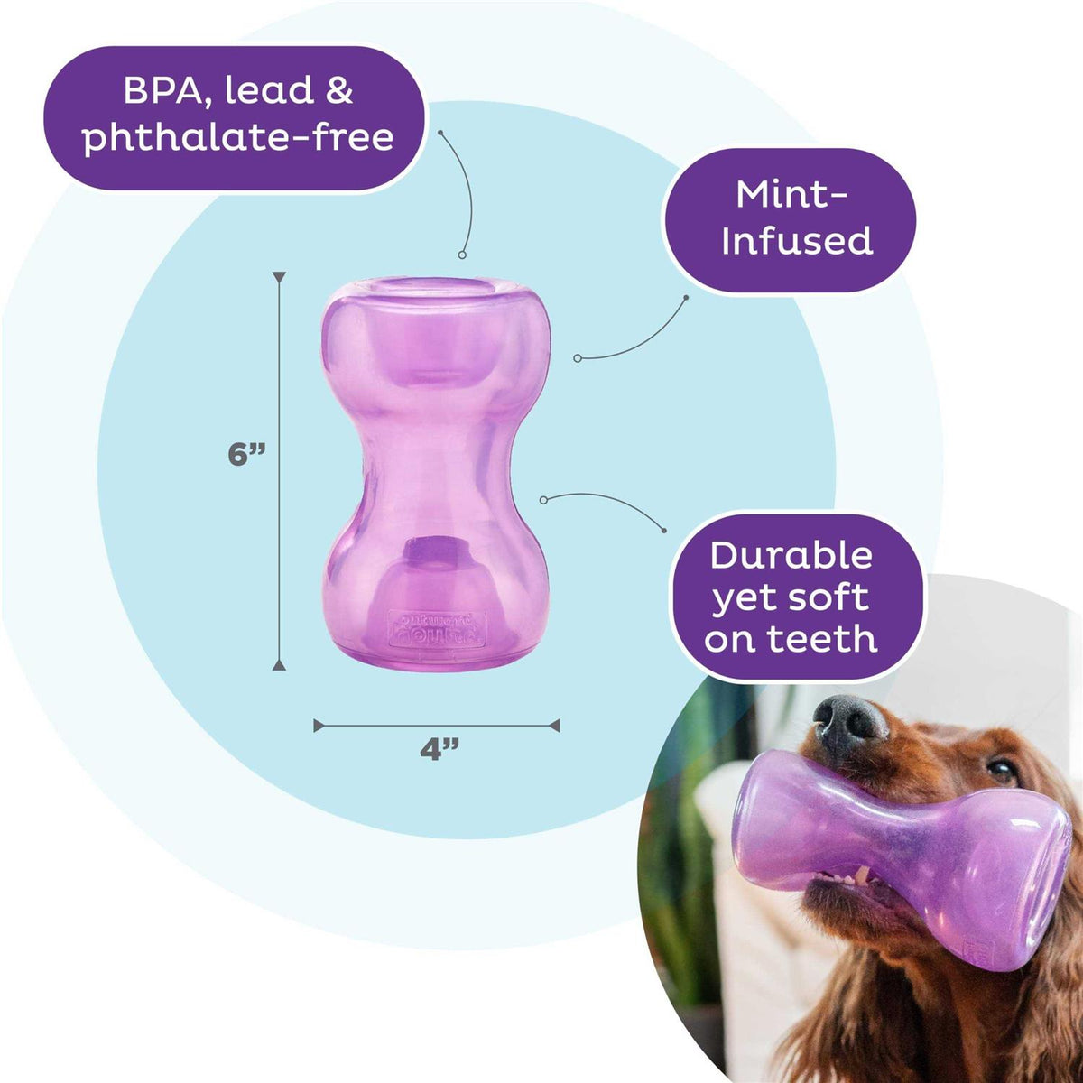 Durable Interactive Dog Toy K67333