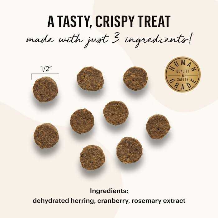 Cat Treats T426644