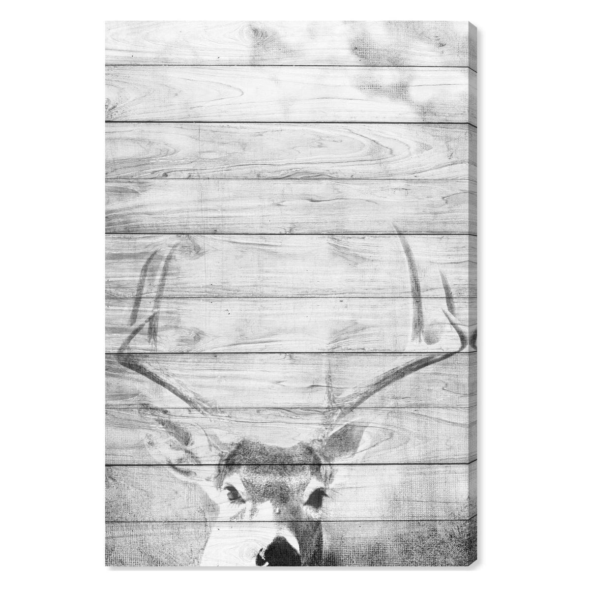 Canvas Art 16W x 24H Gray Y759547