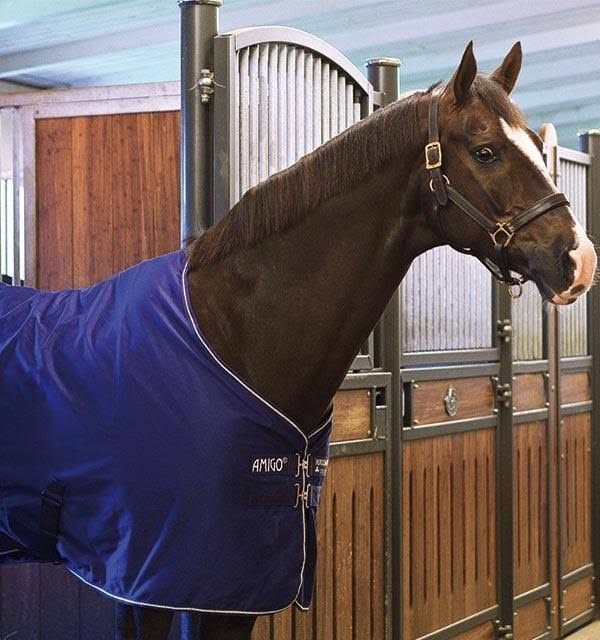 Stable Sheet M969