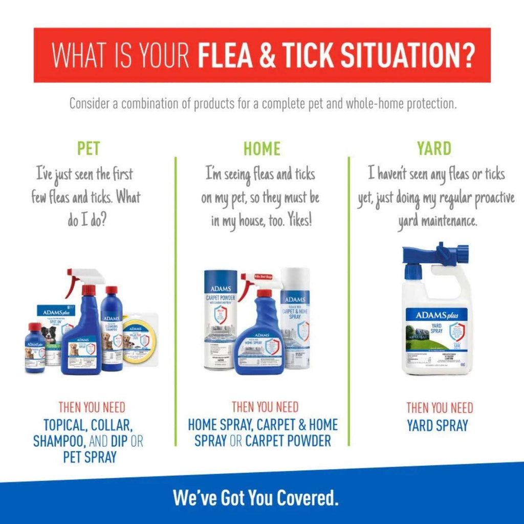 Flea Tick Collar for Cats J44527