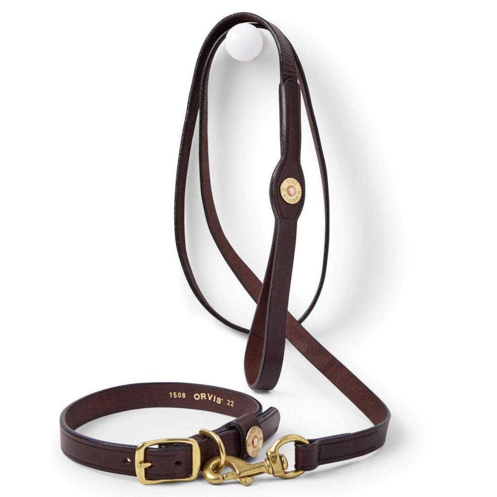 Dog Collar and Leash E304