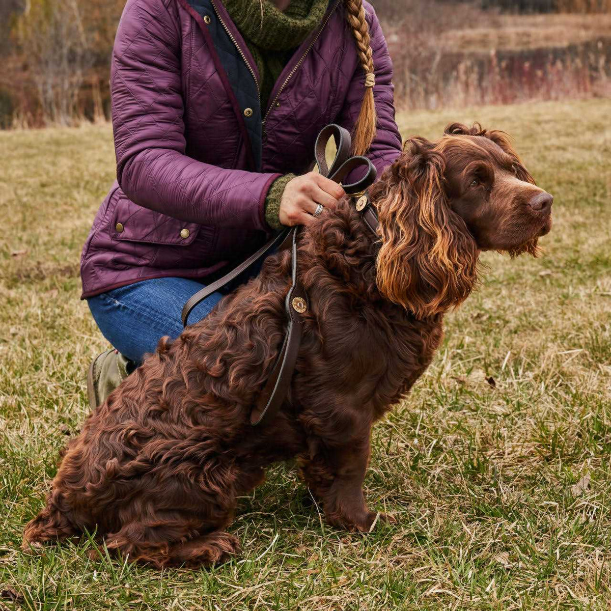 Dog Collar and Leash E304