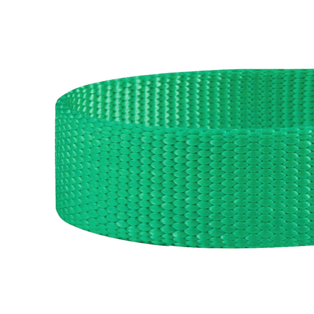 Classic Dog Collar Q9889