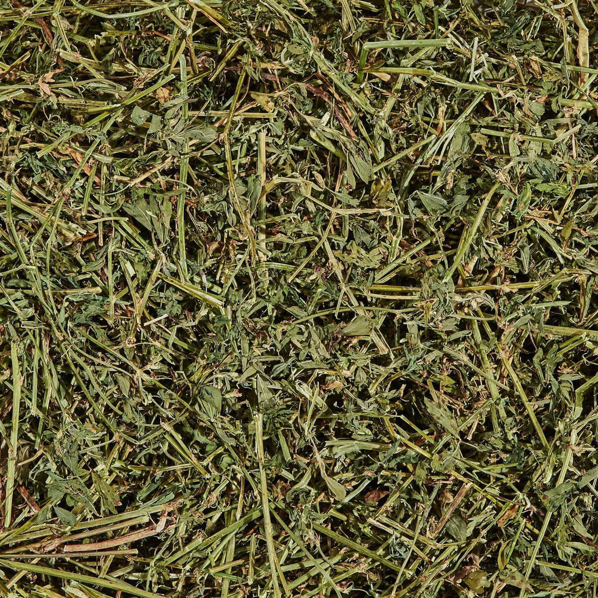 Alfalfa Mini Bale J335