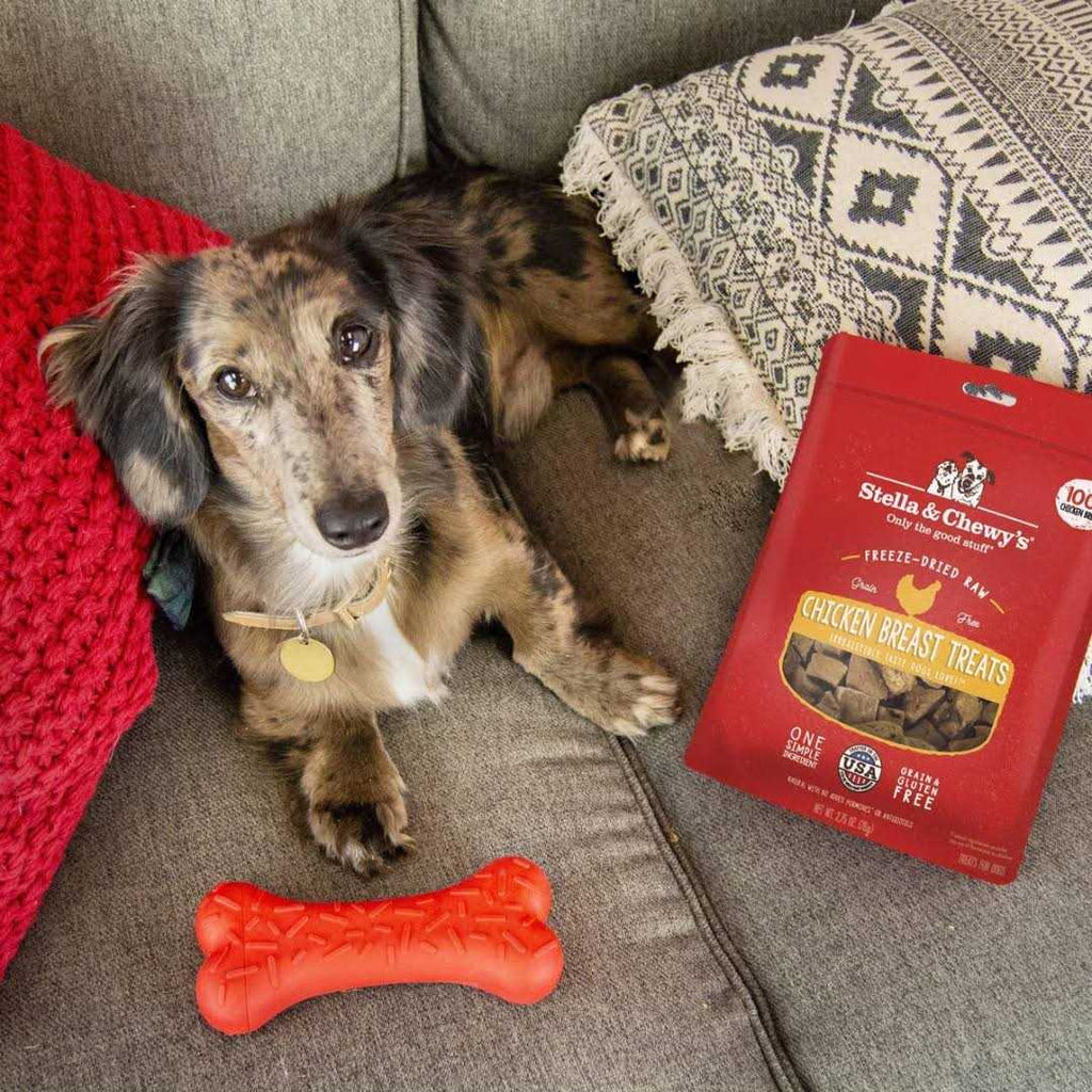 Chicken Hearts Freeze-Dried Dog Treats Z499968