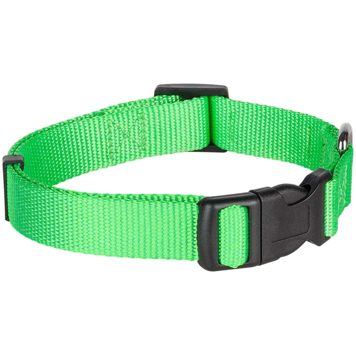 Classic Dog Collar Q9889
