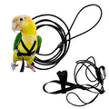 Adjustable Bird Harness and Leash W44615