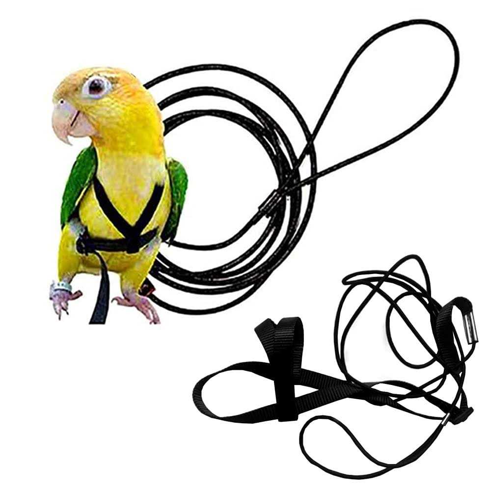 Adjustable Bird Harness and Leash W44615