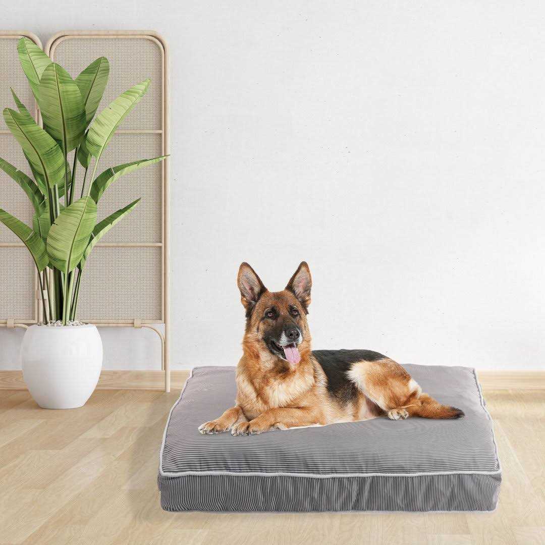 Orthopedic Pet Bed U7220
