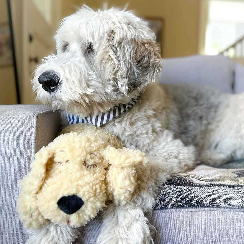 Heartbeat Toy for Pet Anxiety Relief X581
