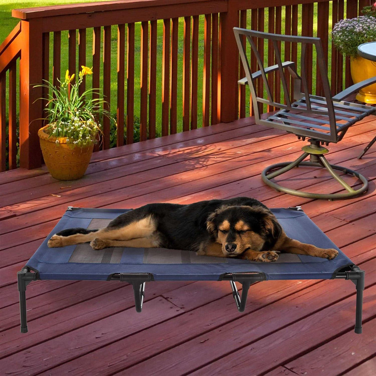 Cot-Style Elevated Pet Bed A658
