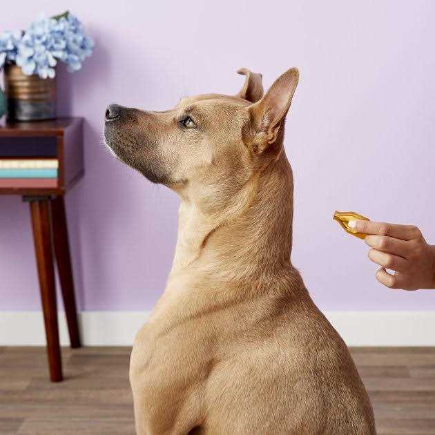 Essential 6 Spot-On Dogs Q204