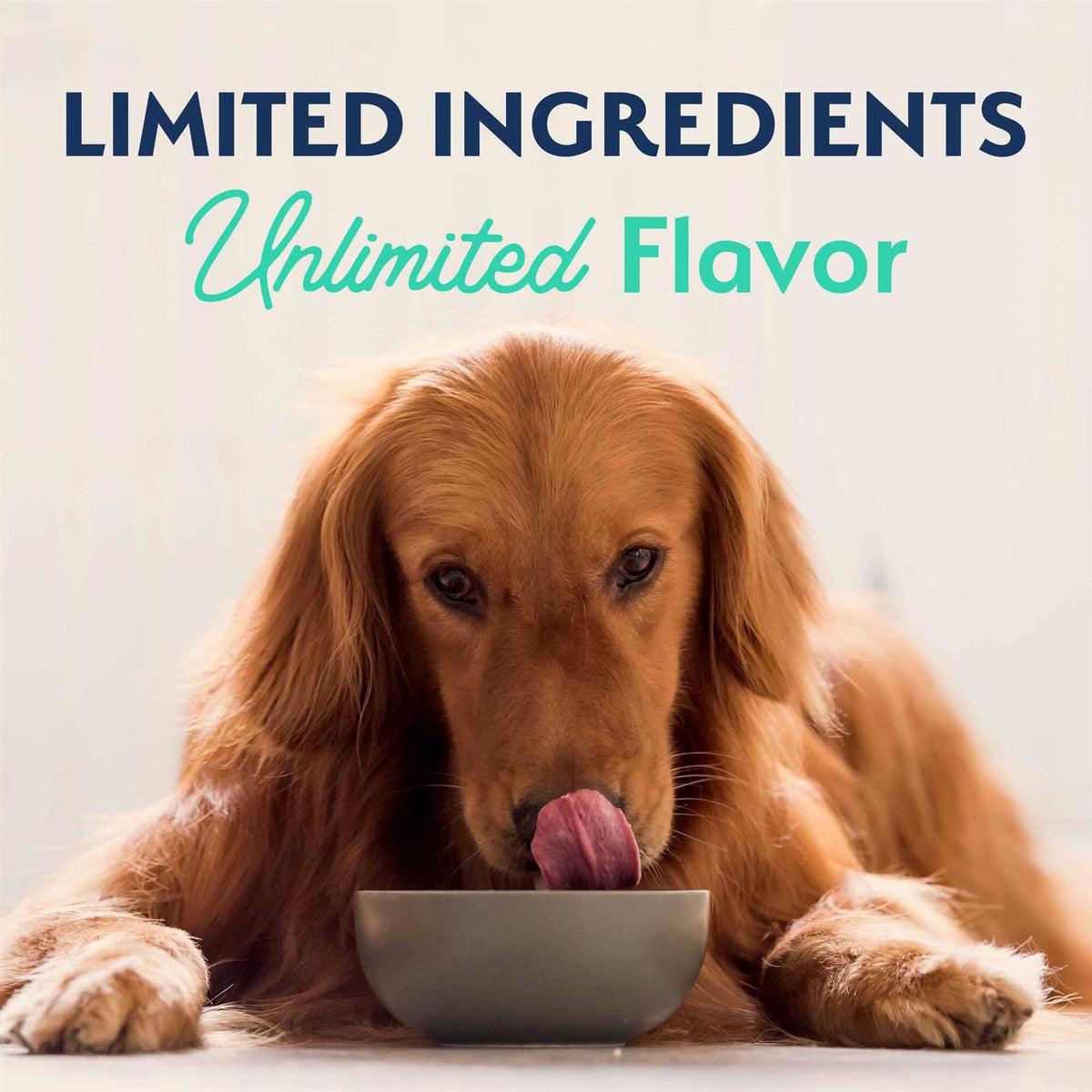 Chicken & Sweet Potato Dog Food Y972