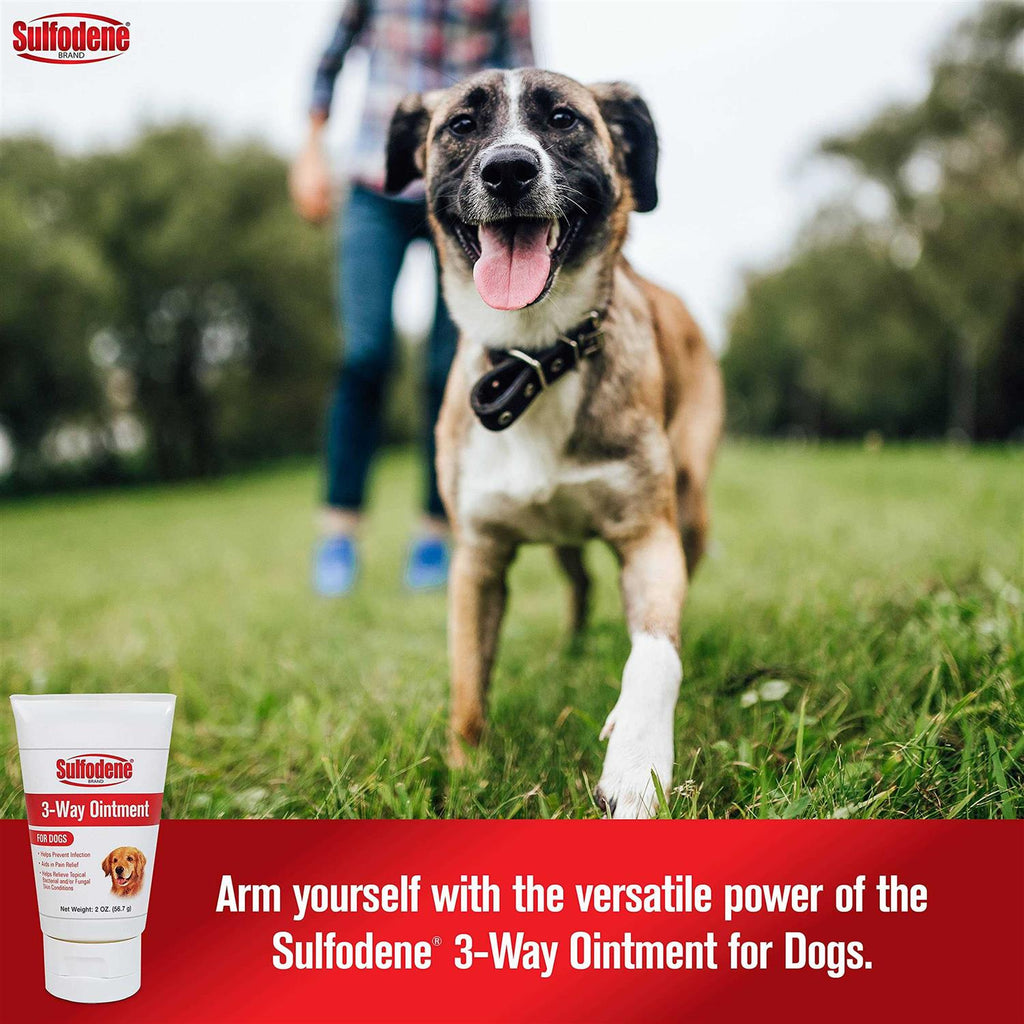 Dog Ointment F9153