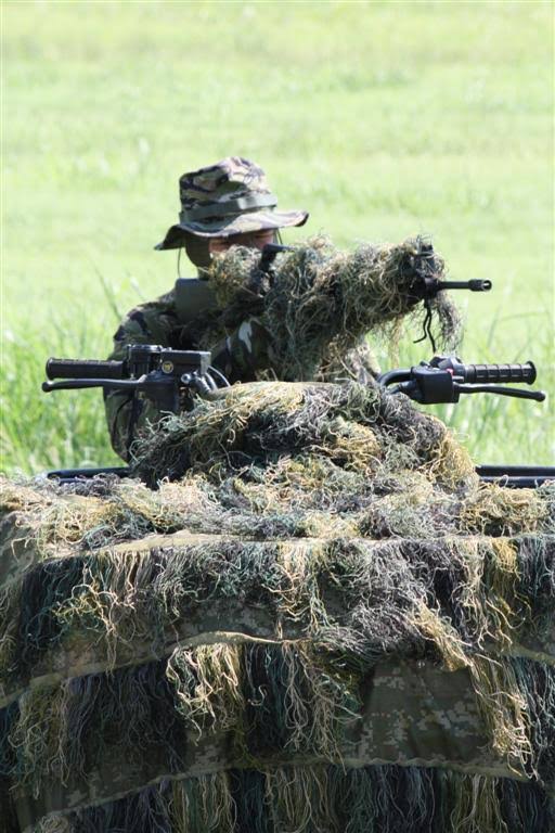 Woodland Camouflage Netting P8200