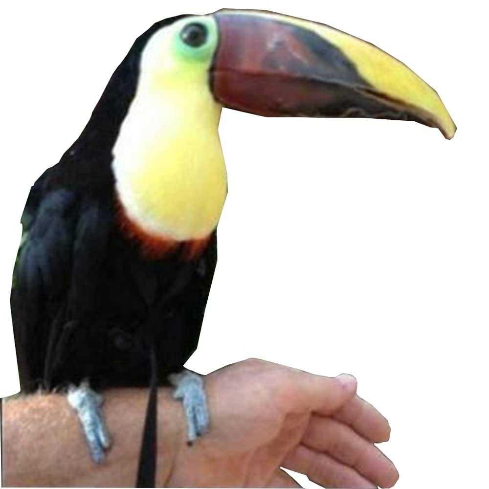 Adjustable Bird Harness and Leash W44615