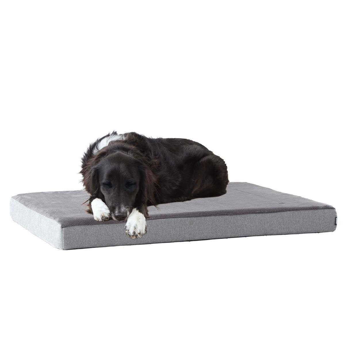Memory Foam Platform Dog Bed Plush Mattress A115698