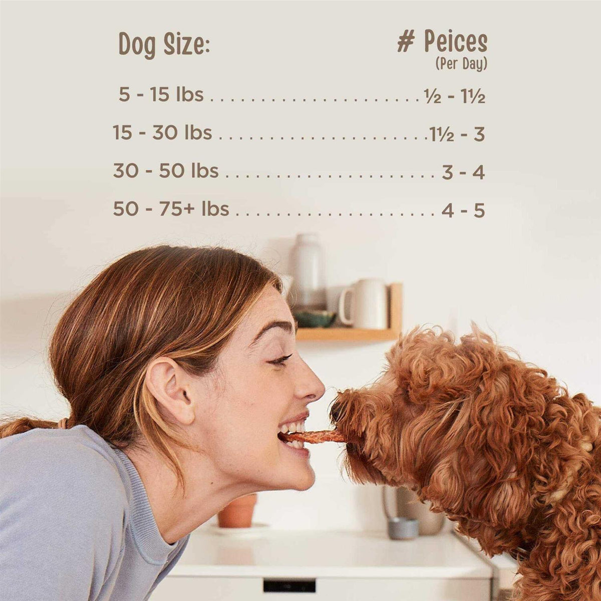 Organic Beef Jerky Dog Treats T5758