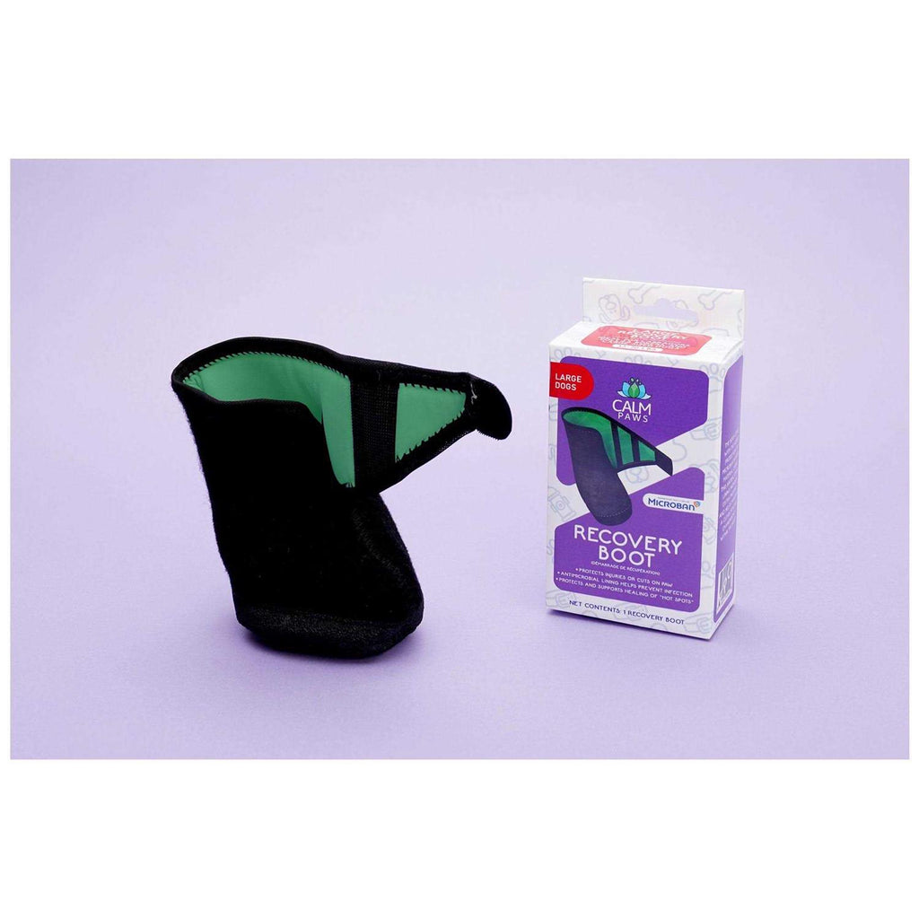 Recovery Boot S80034