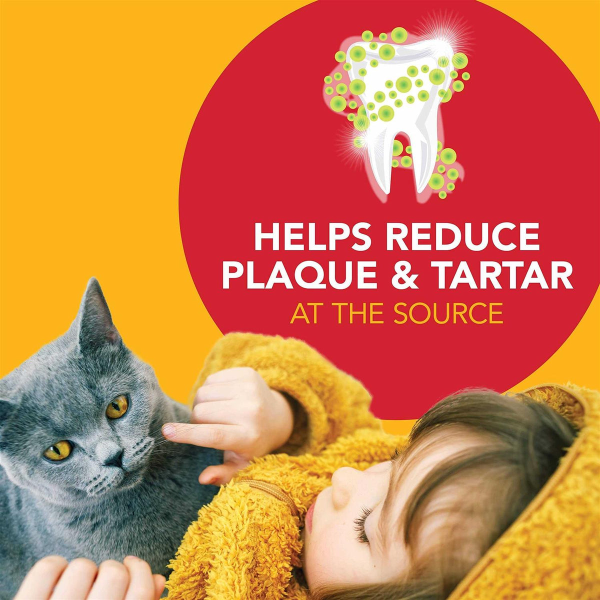 Dental Kit for Cats N92358