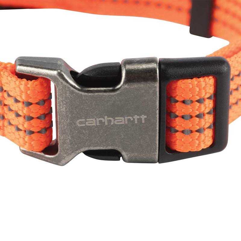 Dog Collar V1700