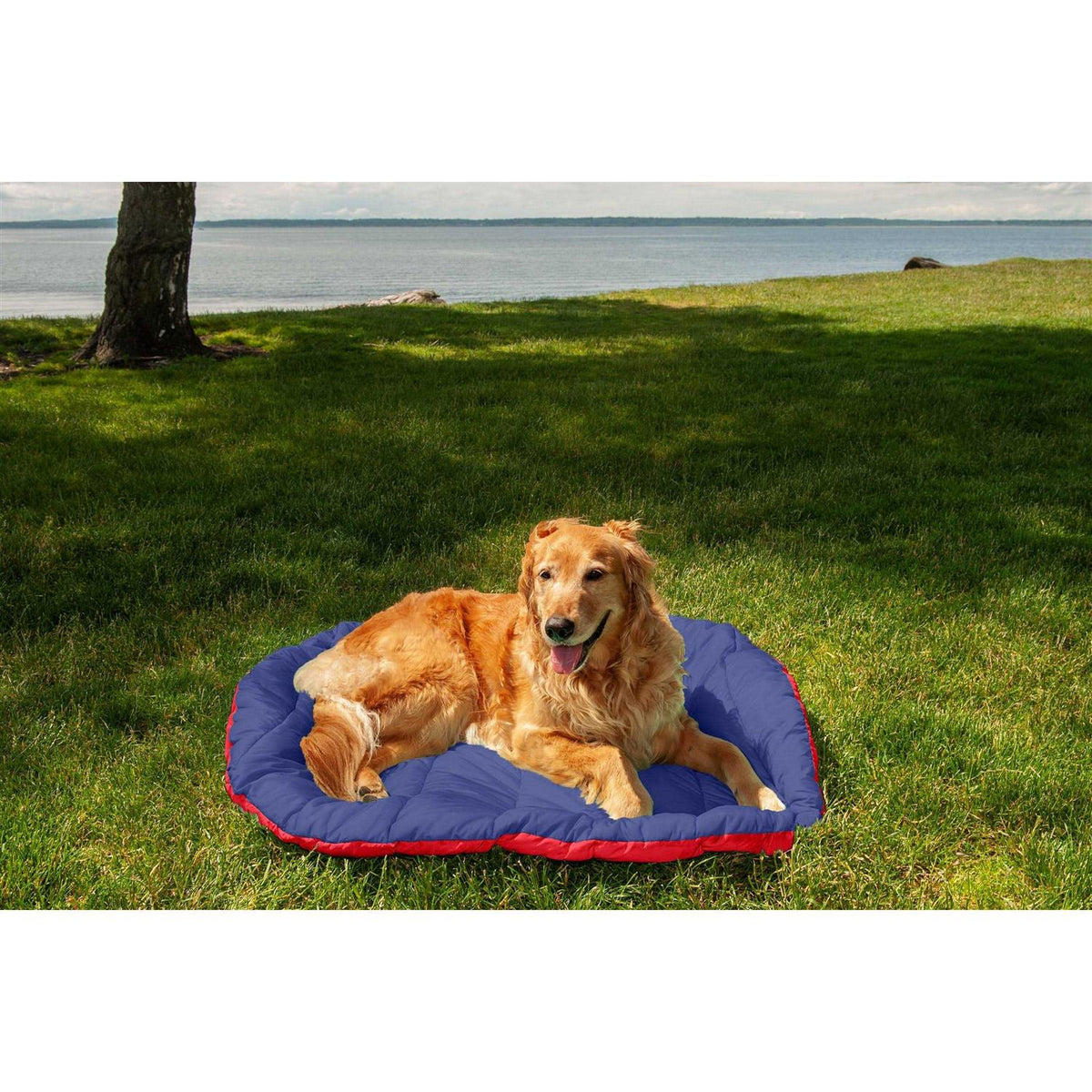 Packable Travel Dog Bed T5435