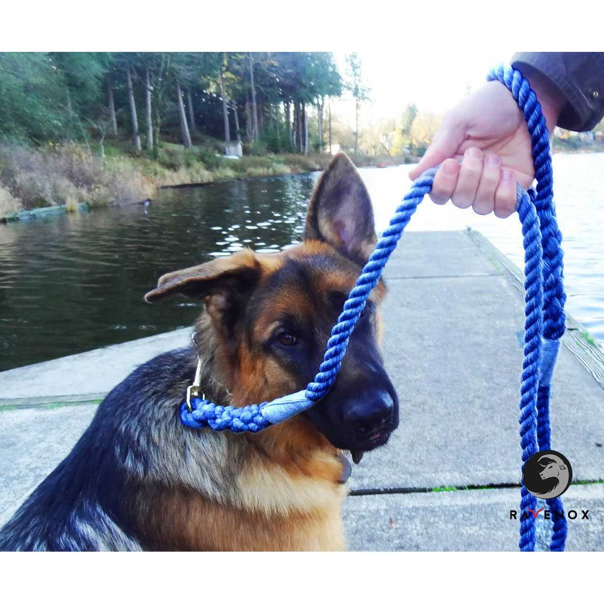 Cotton Rope Leash 12-inch Q1207